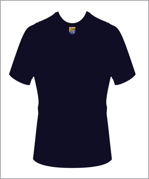 T-Shirt SSV 1913 rückseite.jpg
