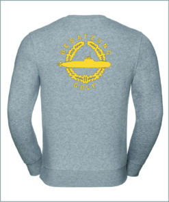 Pulli  Rückseite grau.jpg