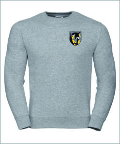 Pulli Vorderseite grau.jpg
