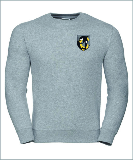 Pulli Vorderseite grau.jpg