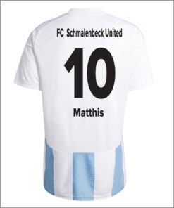 IW2137 Adidas TRikot hellblau rückseite.jpg