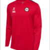 Trikot Langarm vorderseite.jpg