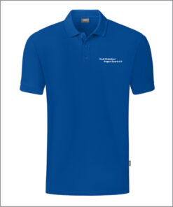 Polo Vorderseite.jpg