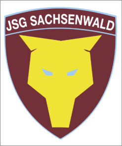 JSG Sachsenwald