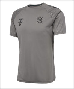 Pro shirt grau vorderseite.jpg