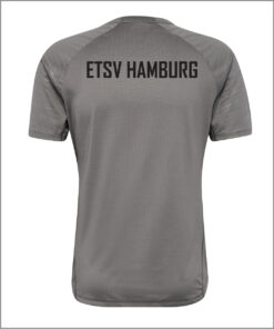 Pro shirt grau rückseite.jpg