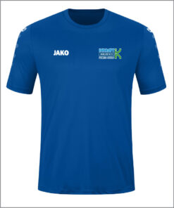 hsv 4233 vorderseite.jpg