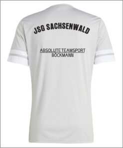 JG5837 JJ0061 Shirt grau Rückseite.jpg