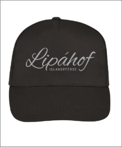 LC88119 Cap grau vorderseite.jpg