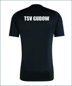 Trikot rückseite.jpg